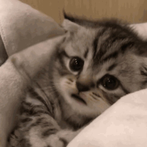 男人把鸡巴插女人屁股里视频
