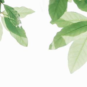 男人把鸡巴插女人屁股里视频
