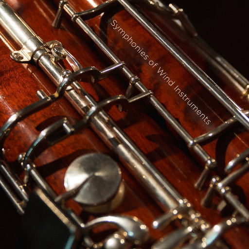 男人把鸡巴插女人屁股里视频
